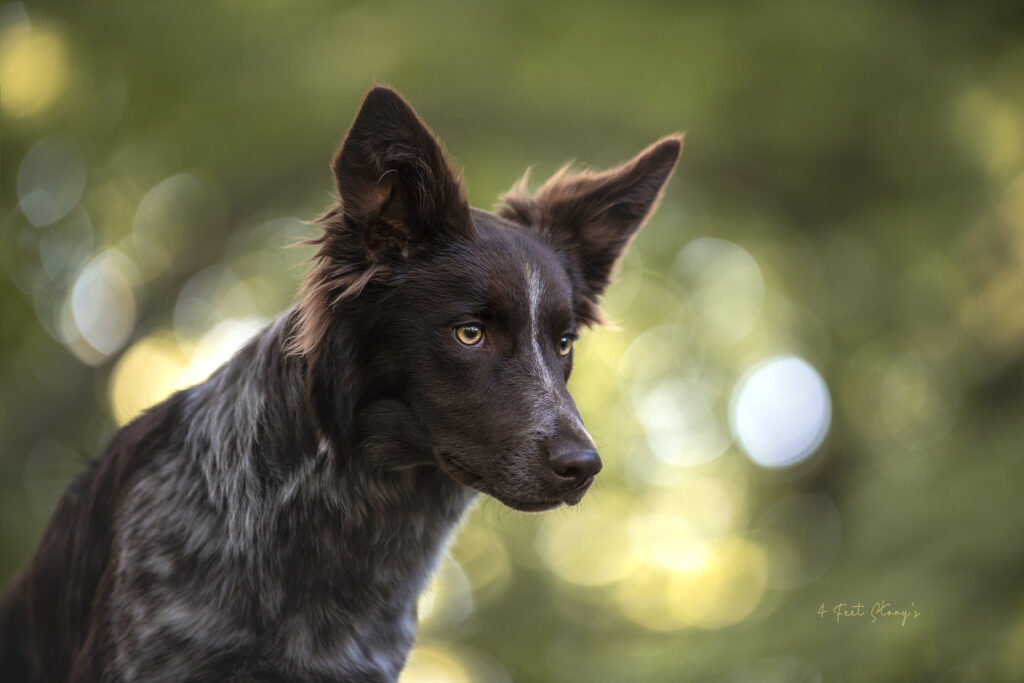 Duke.6mndA.Social-M-sRGB